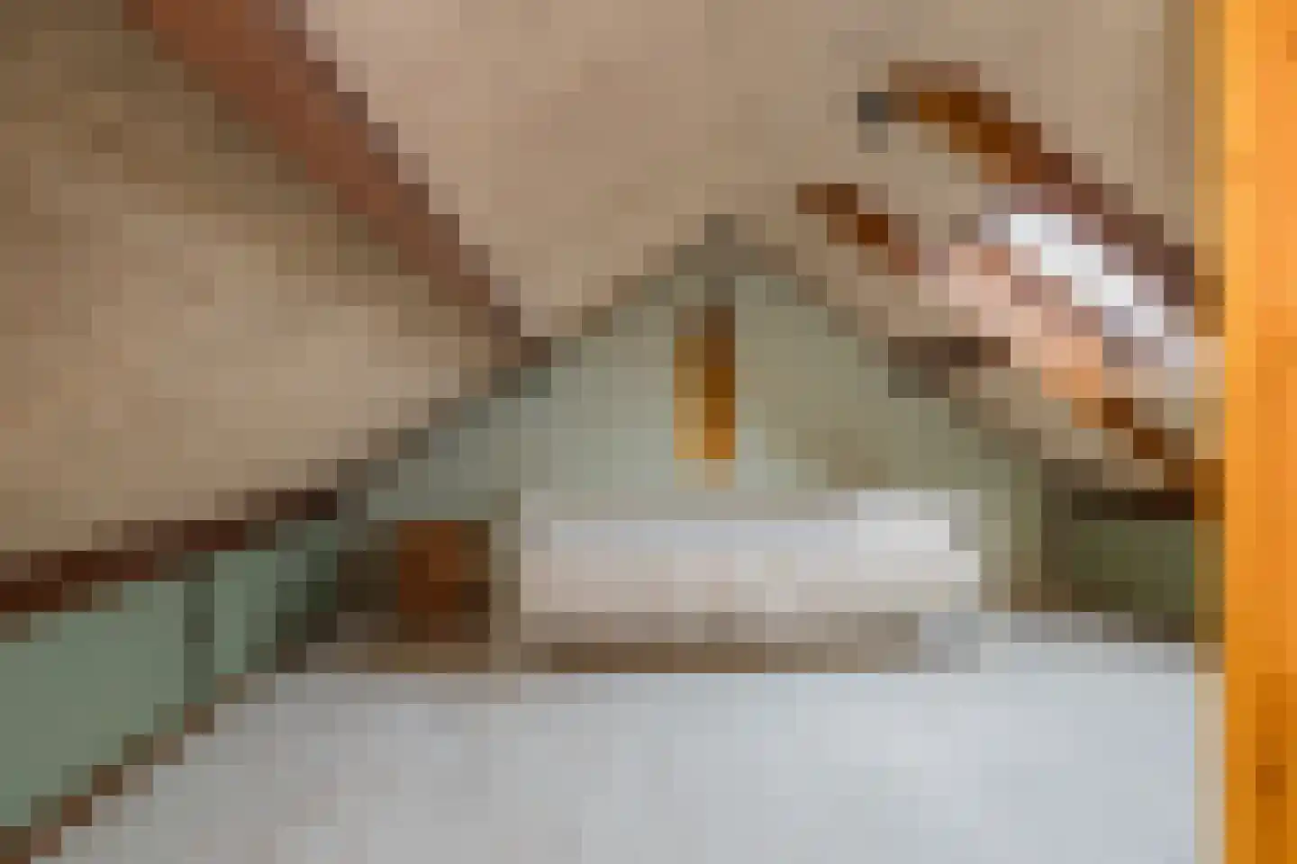 Wilgenlaan 20 Sassenheim thumbnail 29