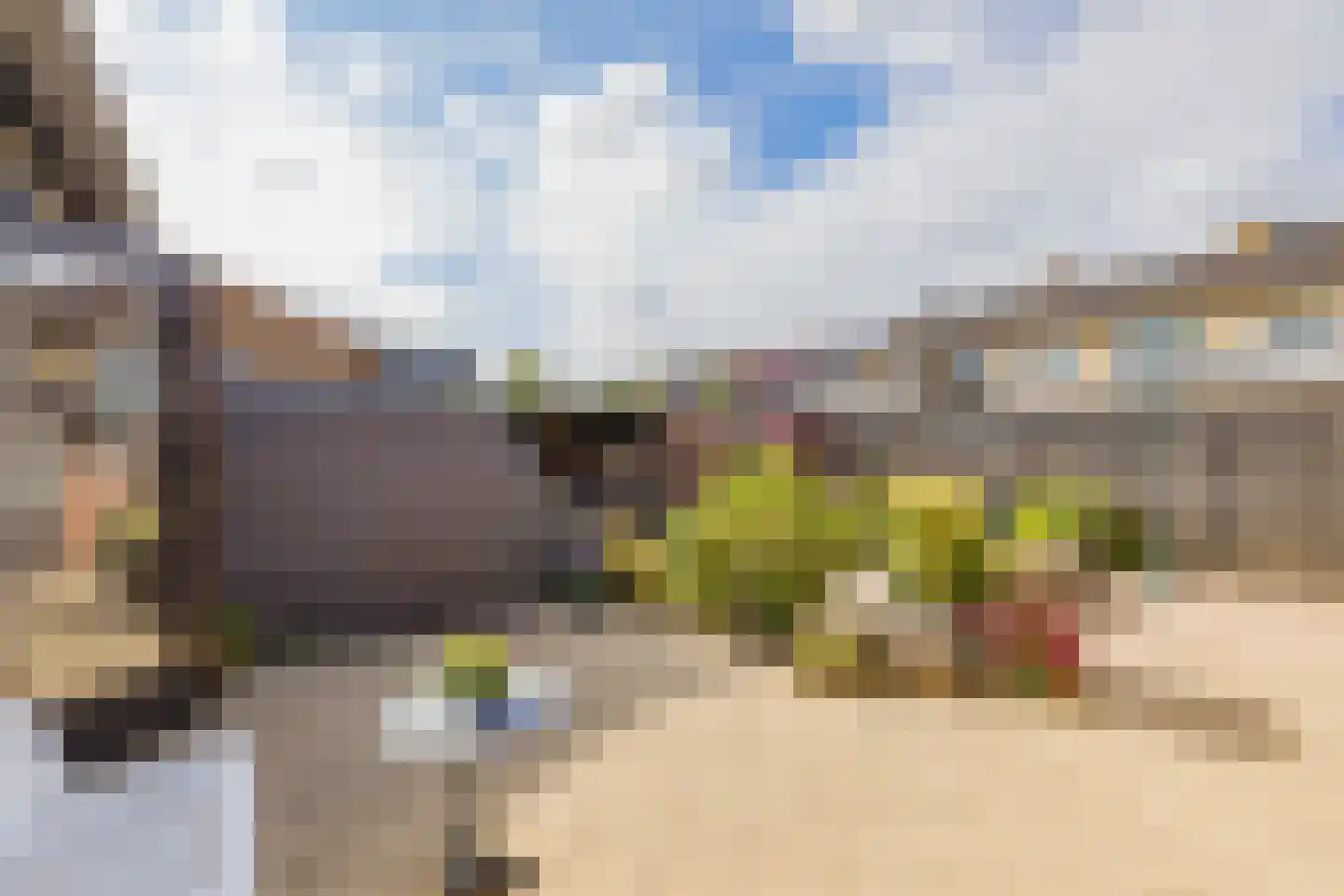 Wilgenlaan 20 Sassenheim thumbnail 33