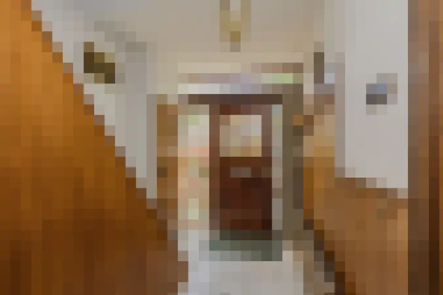 Wilgenlaan 20 Sassenheim thumbnail 4