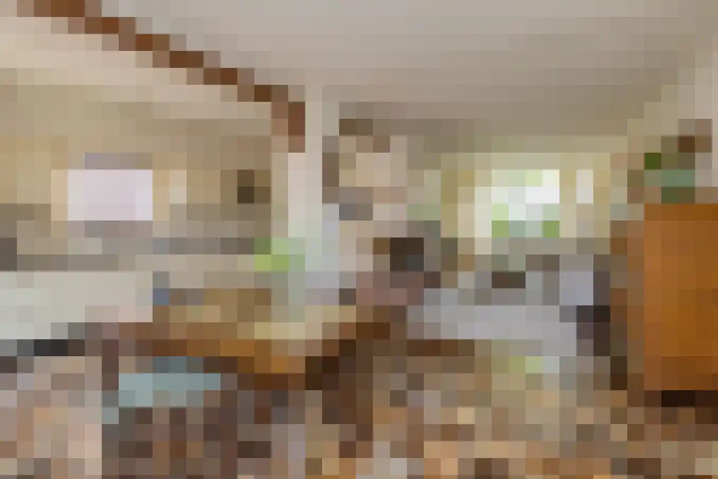 Wilgenlaan 20 Sassenheim thumbnail 7