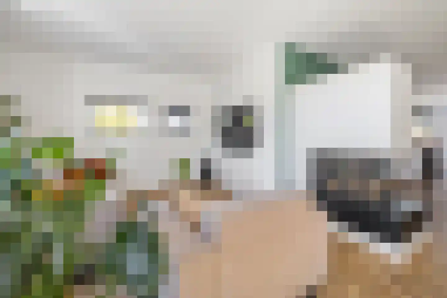 Wilgenlaan 21 Nederhorst den Berg thumbnail 8