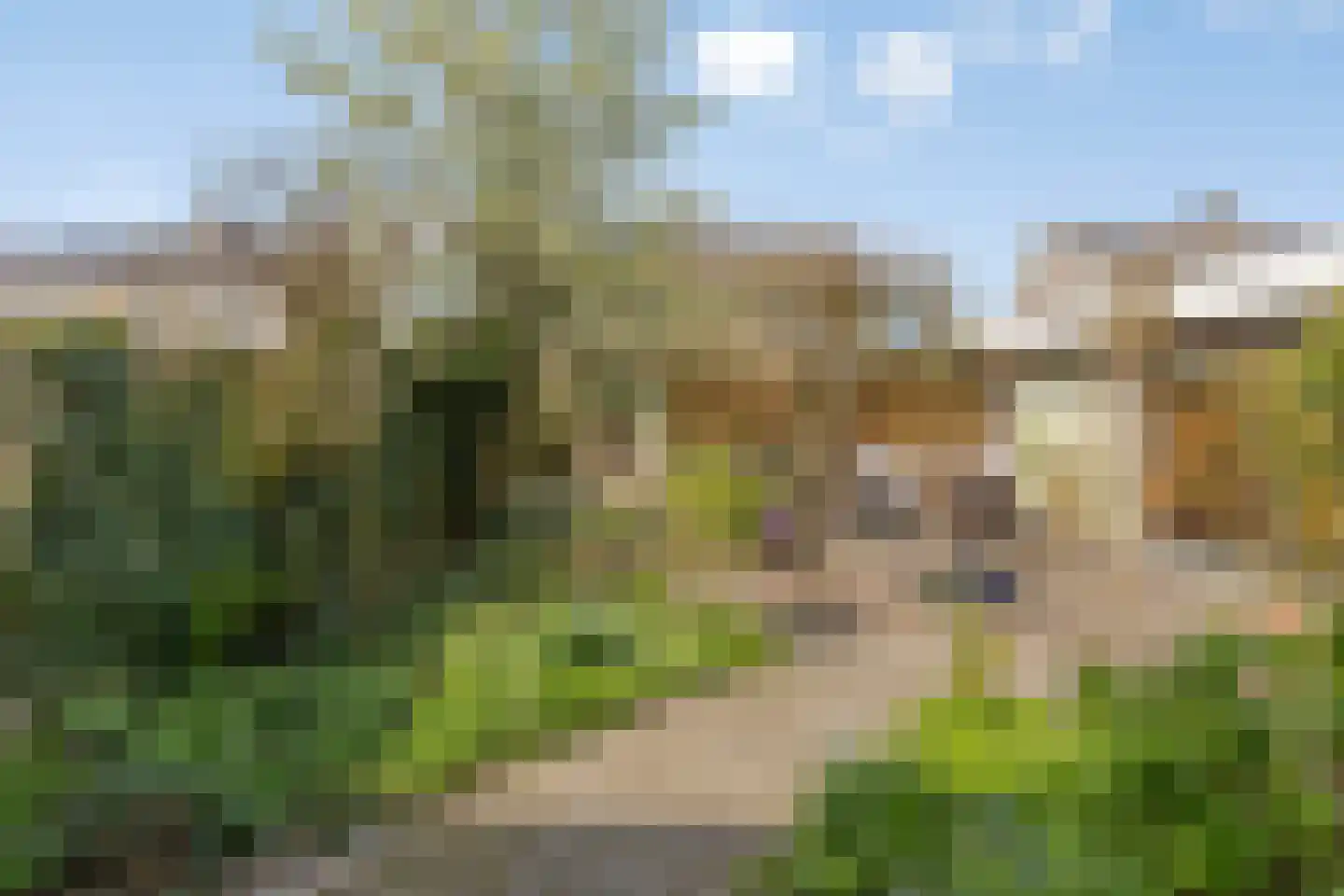 Wilgenlaan 21 Udenhout thumbnail 39