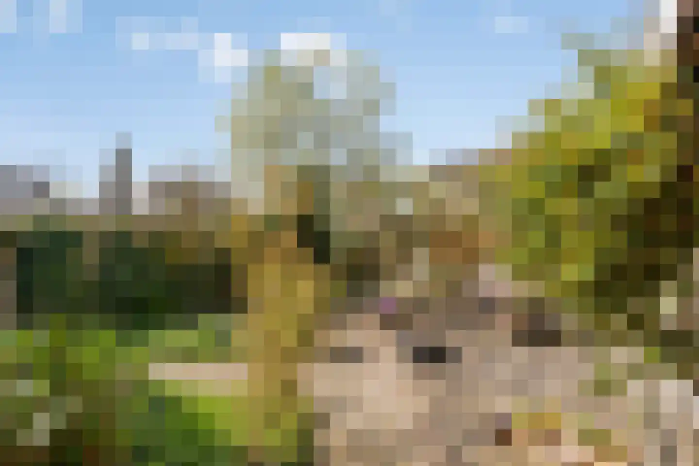 Wilgenlaan 21 Udenhout thumbnail 41