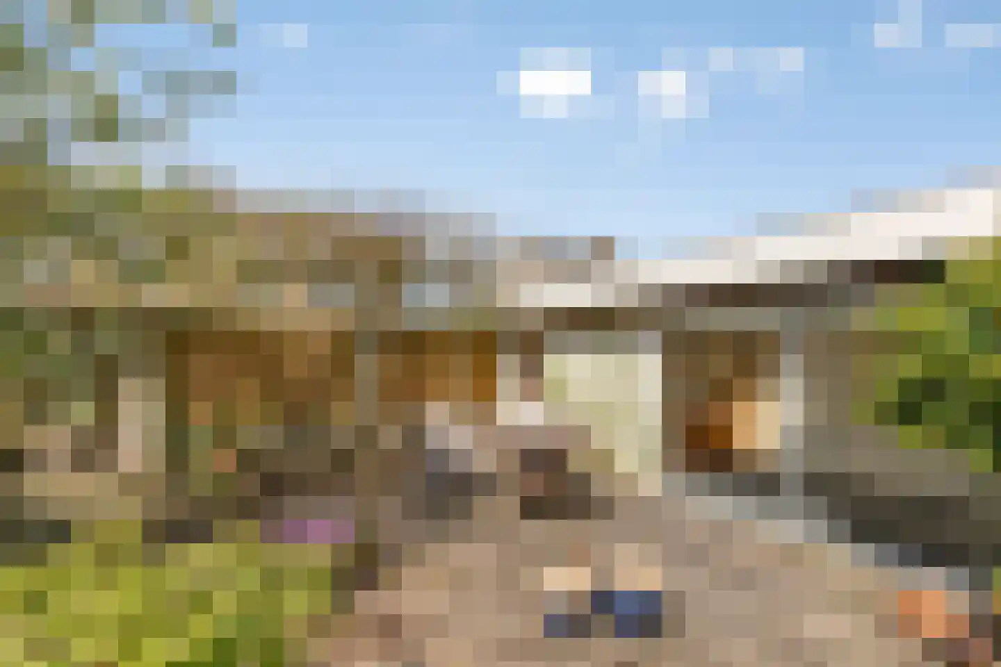 Wilgenlaan 21 Udenhout thumbnail 43