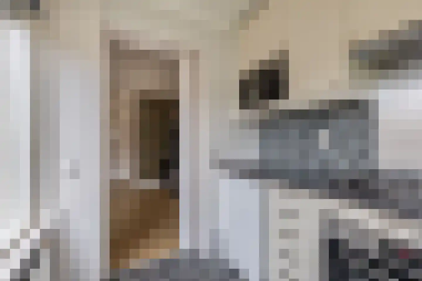 Wilgenlaan 21 Zevenhuizen thumbnail 10