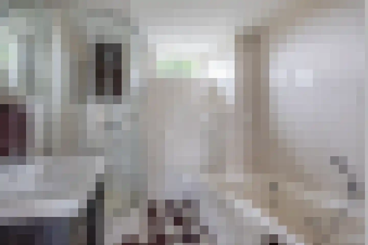 Wilgenlaan 21 Zevenhuizen thumbnail 17
