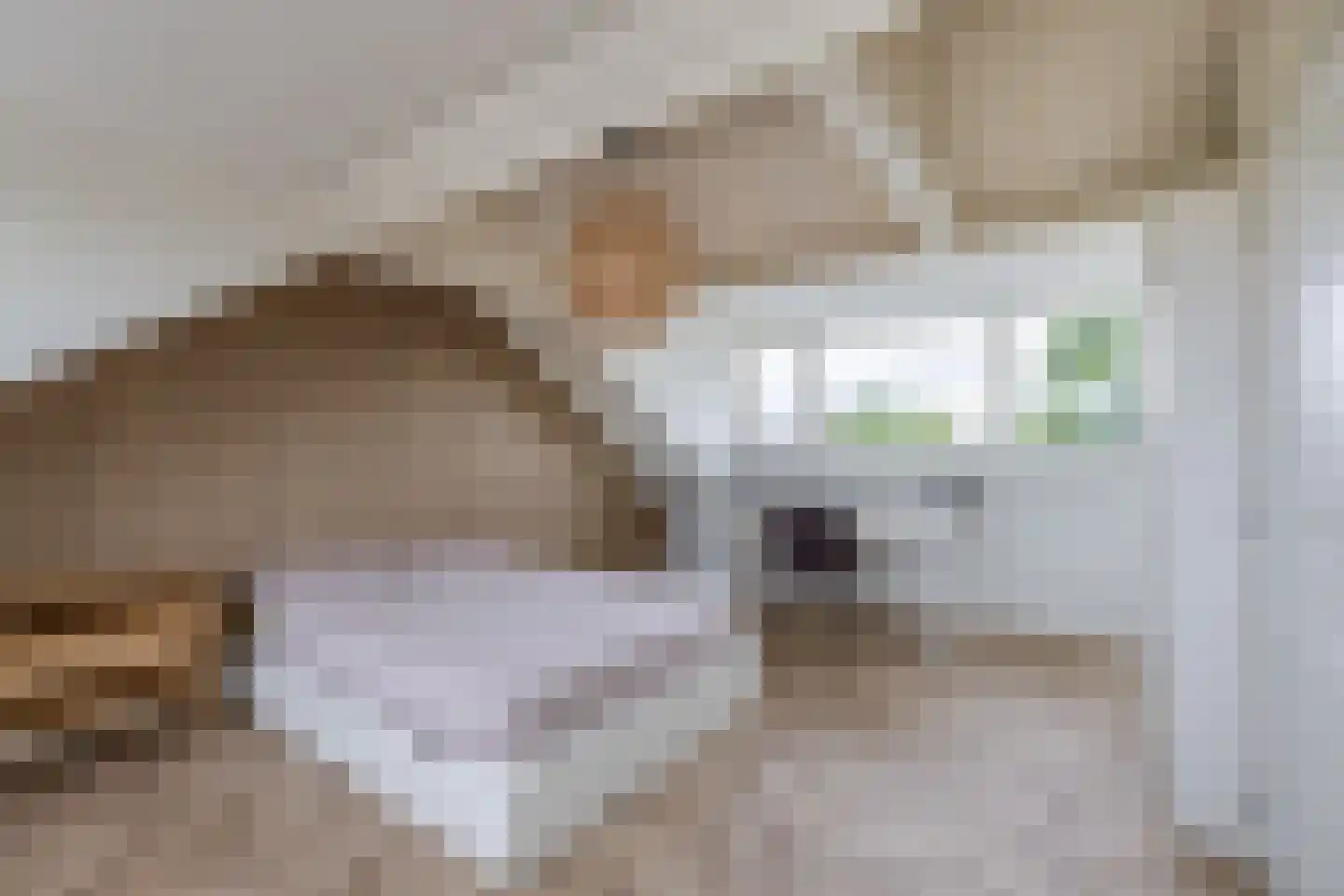 Wilgenlaan 21 Zevenhuizen thumbnail 20