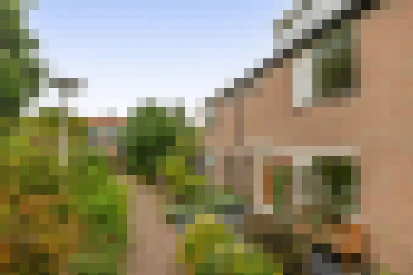 Wilgenlaan 21 Zevenhuizen thumbnail 26