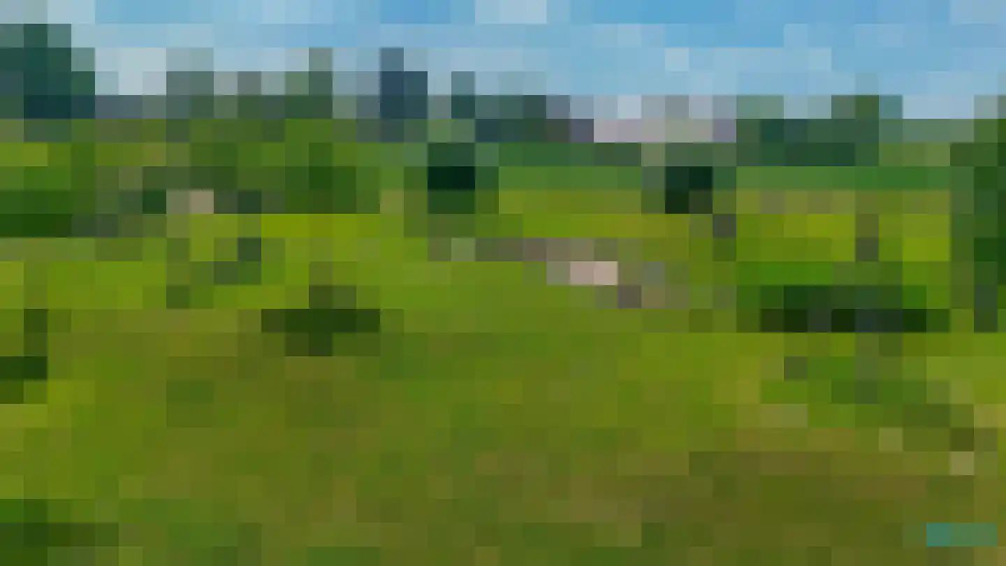 Wilgenlaan 21 Zevenhuizen thumbnail 27