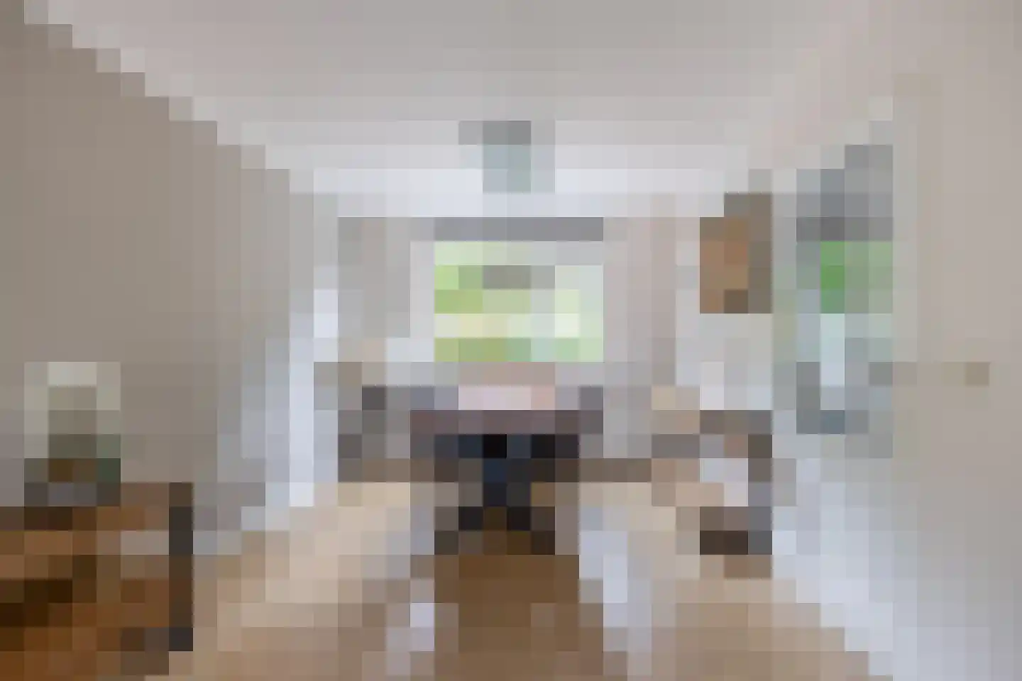 Wilgenlaan 21 Zevenhuizen thumbnail 7