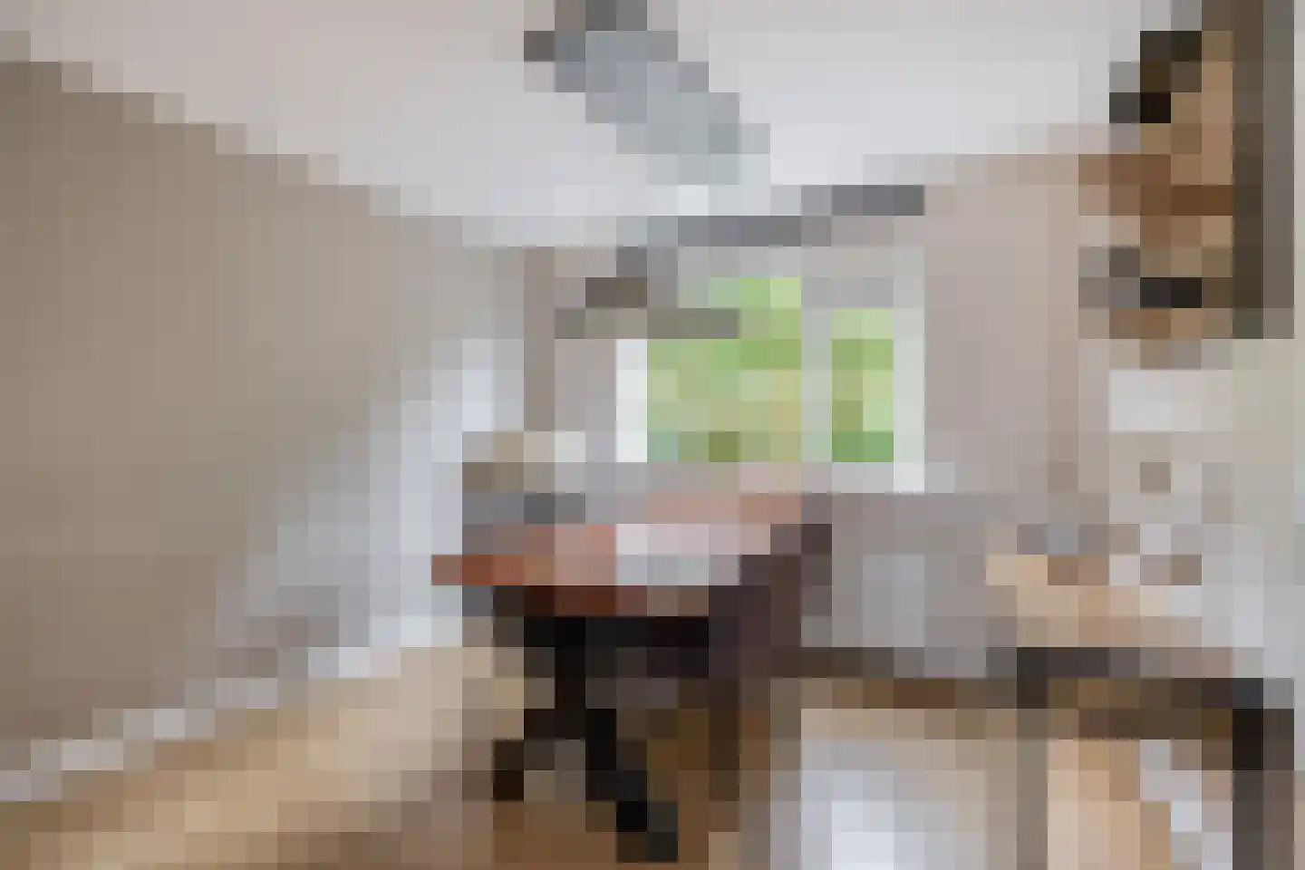 Wilgenlaan 21 Zevenhuizen thumbnail 8