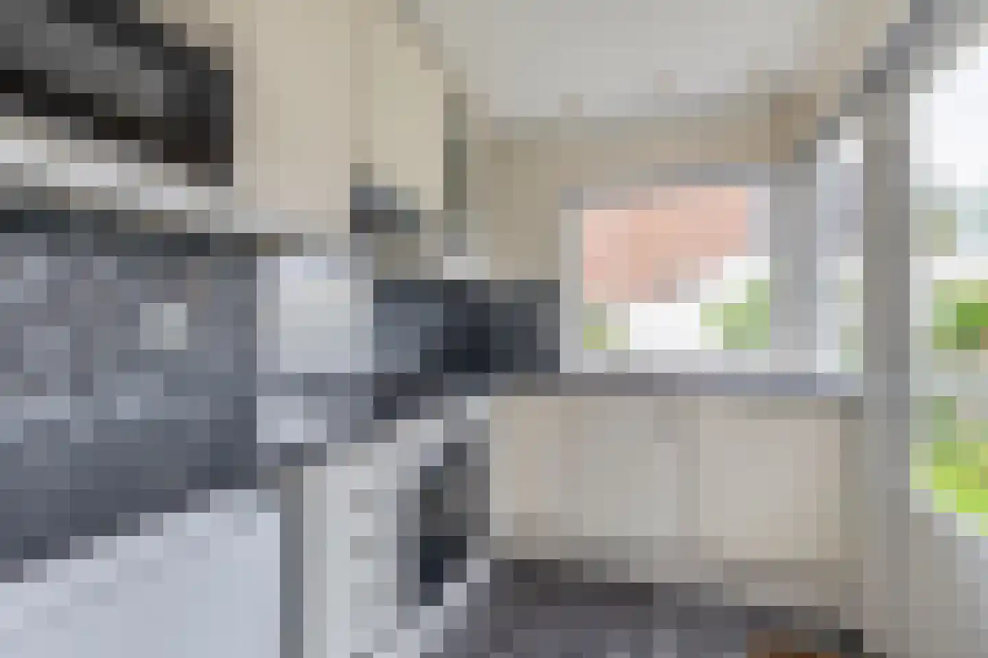 Wilgenlaan 21 Zevenhuizen thumbnail 9