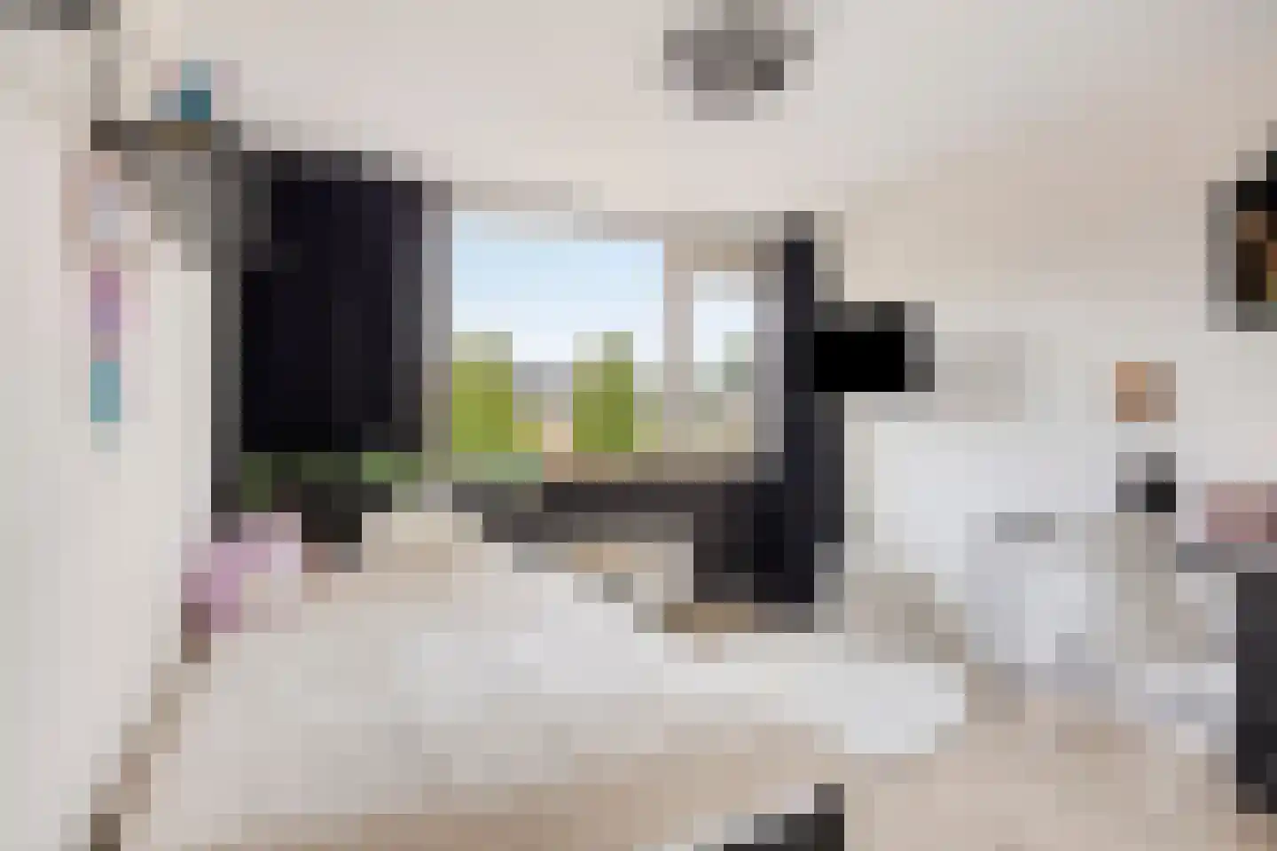 Wilgenlaan 22 Heerhugowaard thumbnail 20