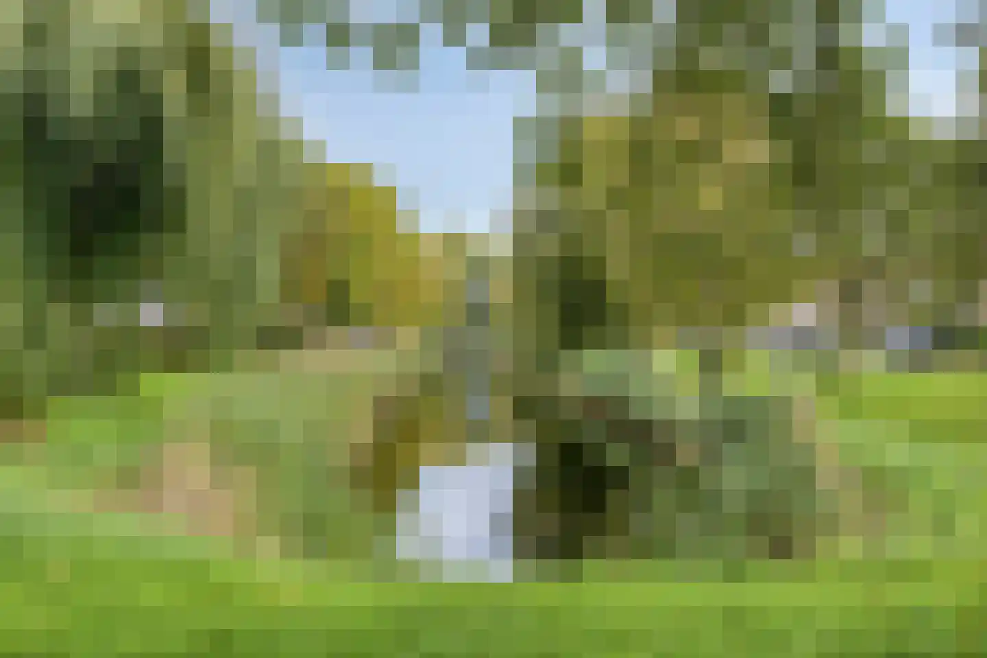 Wilgenlaan 22 Heerhugowaard thumbnail 35