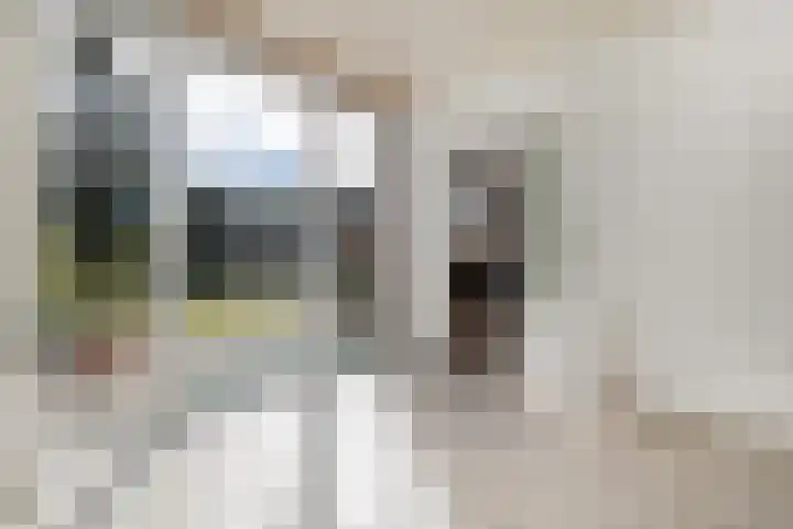 Wilgenlaan 24 Bunde thumbnail 11