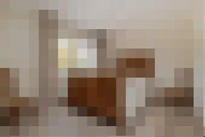 Wilgenlaan 24 Bunde thumbnail 13