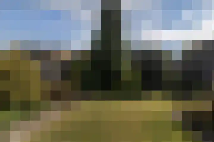 Wilgenlaan 24 Bunde thumbnail 23