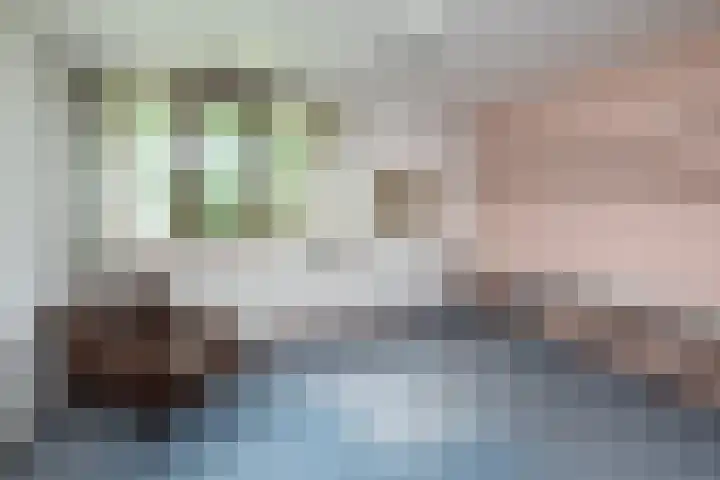 Wilgenlaan 24 Hattem thumbnail 26