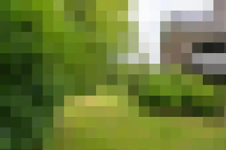 Wilgenlaan 24 Hattem thumbnail 37