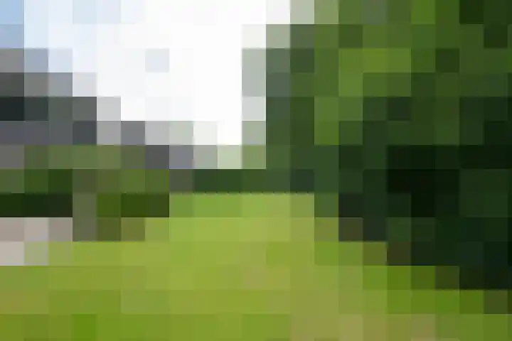 Wilgenlaan 24 Hattem thumbnail 38