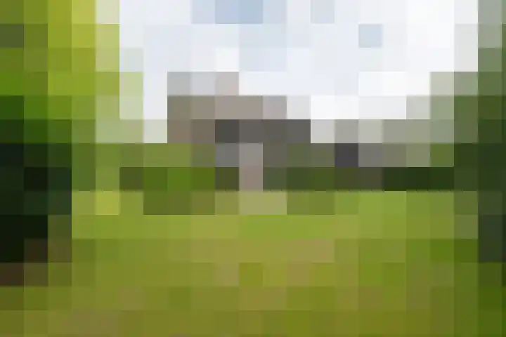 Wilgenlaan 24 Hattem thumbnail 39