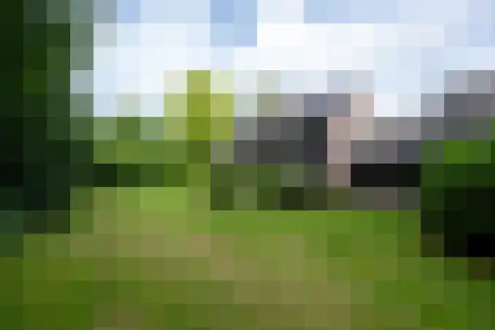 Wilgenlaan 24 Hattem thumbnail 41