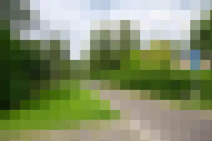 Wilgenlaan 24 Hattem thumbnail 44