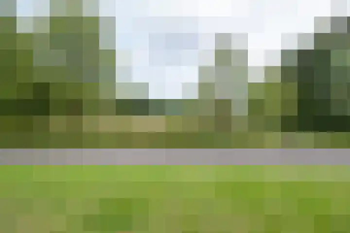 Wilgenlaan 24 Hattem thumbnail 45