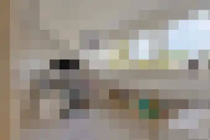 Wilgenlaan 25 Heerhugowaard thumbnail 32