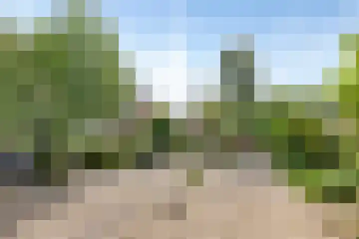 Wilgenlaan 25 Heerhugowaard thumbnail 38