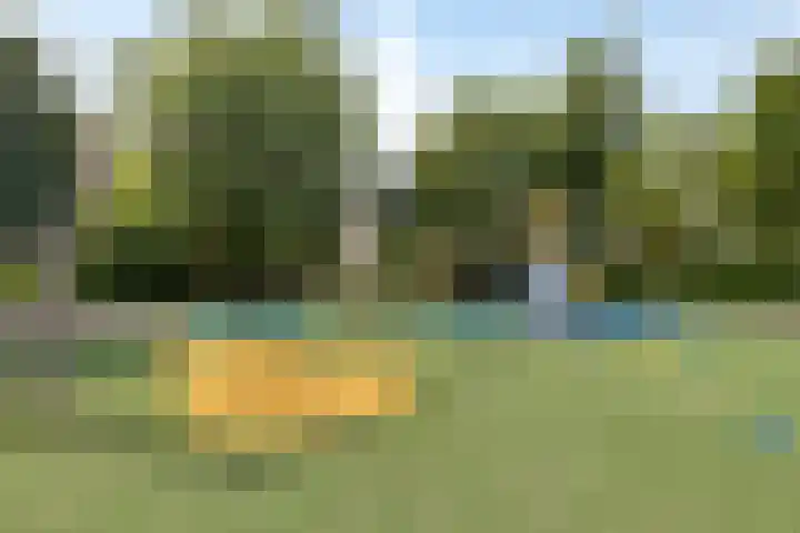 Wilgenlaan 25 Heerhugowaard thumbnail 39