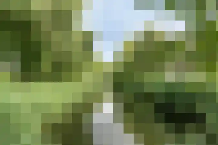 Wilgenlaan 25 Heerhugowaard thumbnail 41