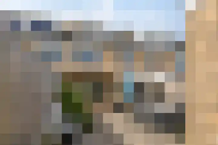 Wilgenlaan 25 Heerhugowaard thumbnail 6