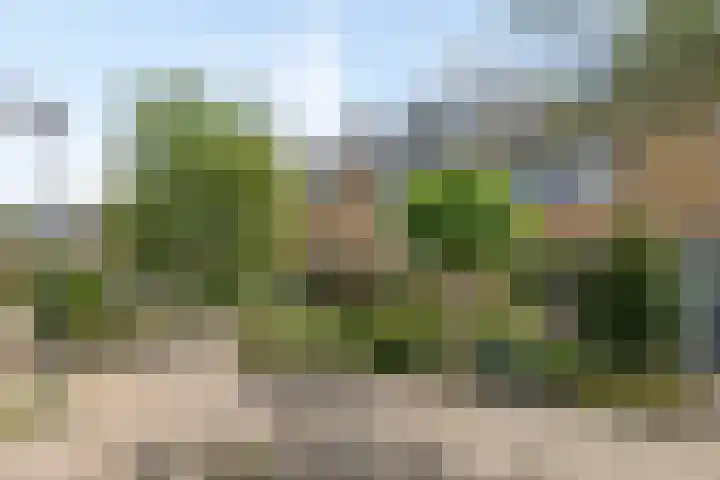 Wilgenlaan 25 Heerhugowaard thumbnail 7