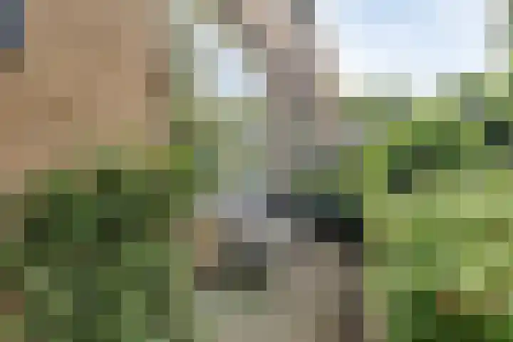 Wilgenlaan 25 Heerhugowaard thumbnail 8