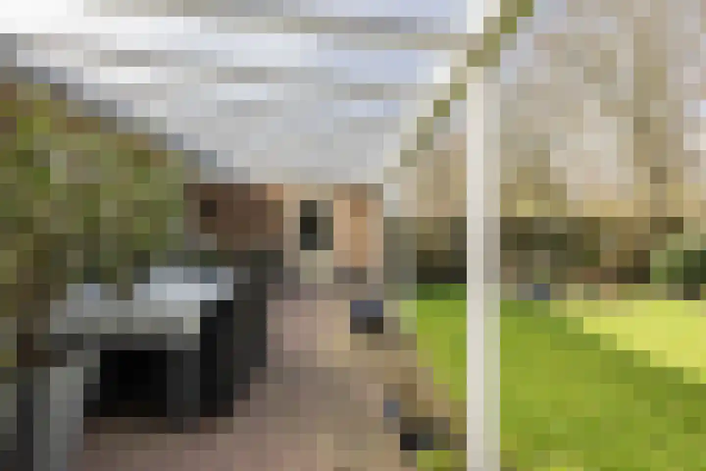 Wilgenlaan 25 Wieringerwaard thumbnail 13