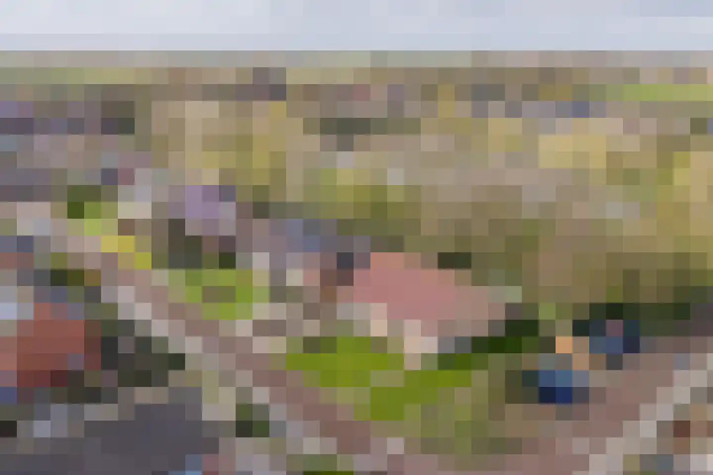 Wilgenlaan 25 Wieringerwaard thumbnail 27