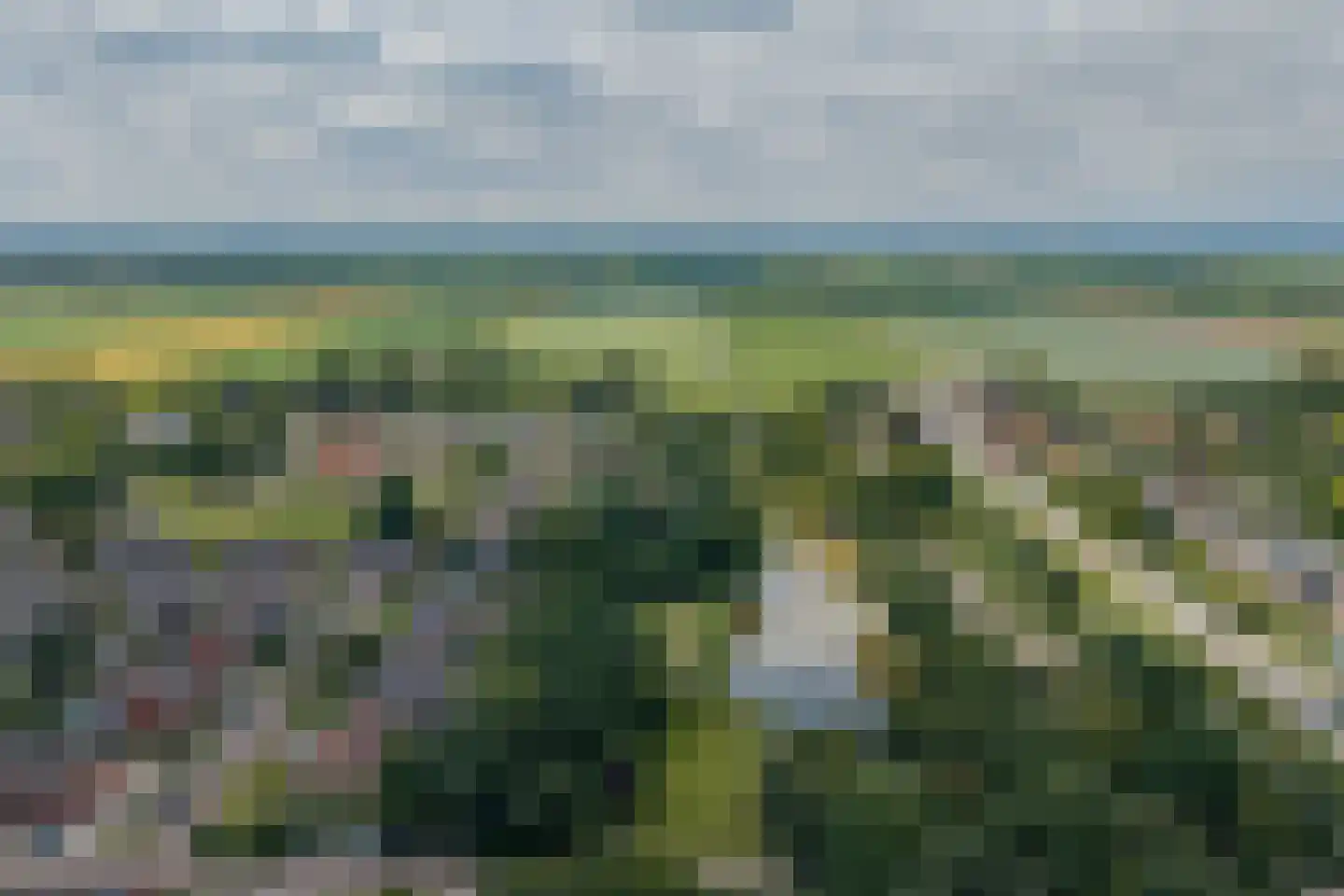 Wilgenlaan 25 Wieringerwaard thumbnail 30