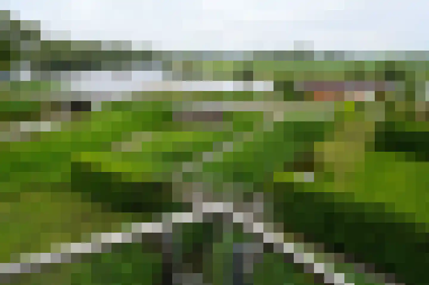 Wilgenlaan 26 Nederhorst den Berg thumbnail 17