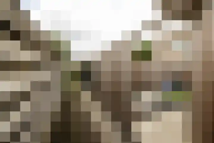 Wilgenlaan 26 Zwanenburg thumbnail 33