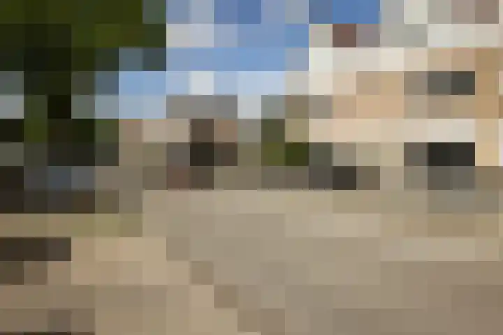 Wilgenlaan 26 Zwanenburg thumbnail 37