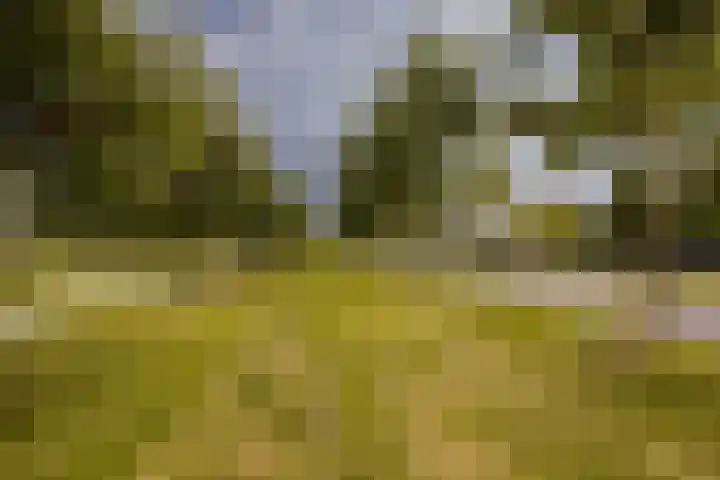 Wilgenlaan 26 Zwanenburg thumbnail 38