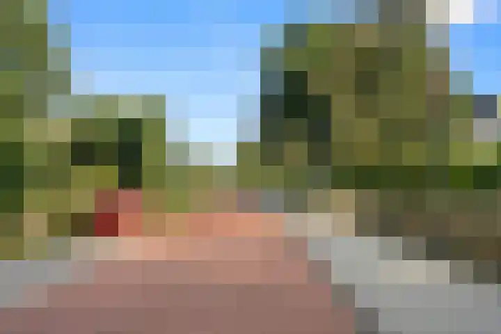 Wilgenlaan 28 Ede thumbnail 10