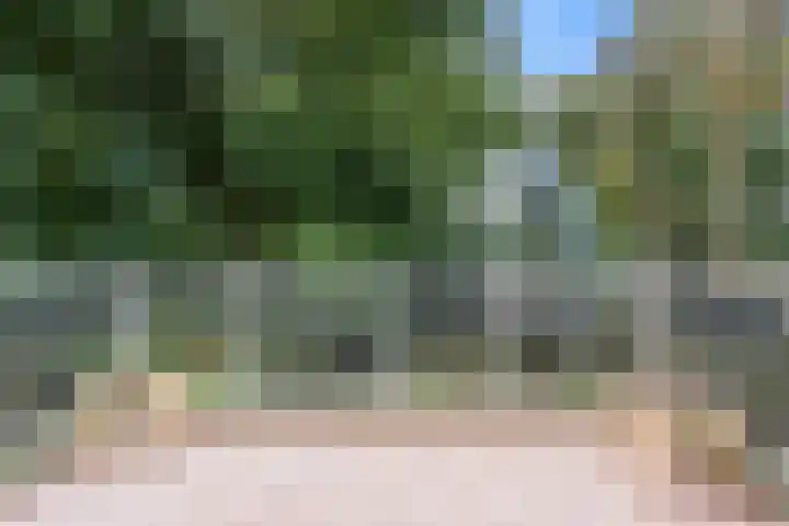 Wilgenlaan 28 Ede thumbnail 37