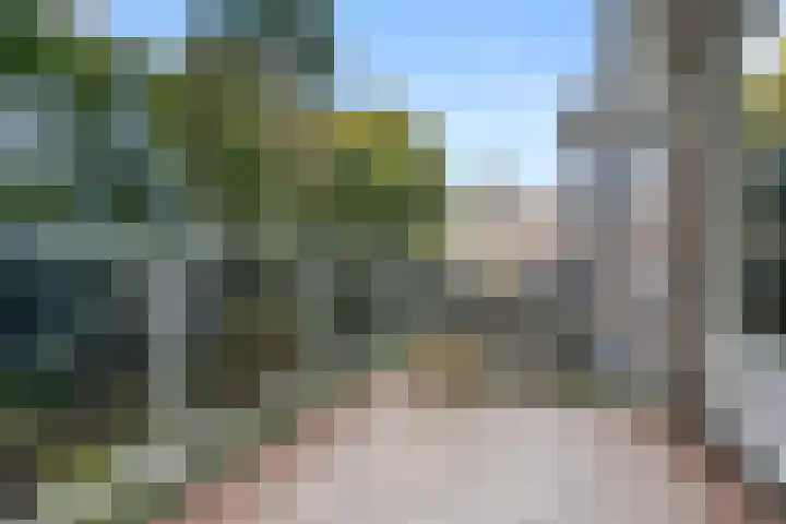 Wilgenlaan 28 Ede thumbnail 38