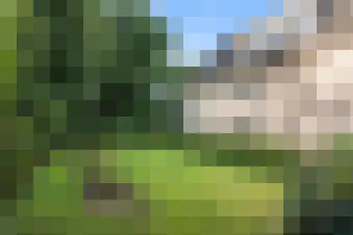 Wilgenlaan 28 Ede thumbnail 7