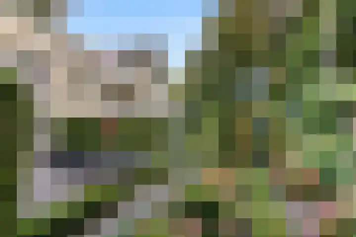 Wilgenlaan 28 Ede thumbnail 9