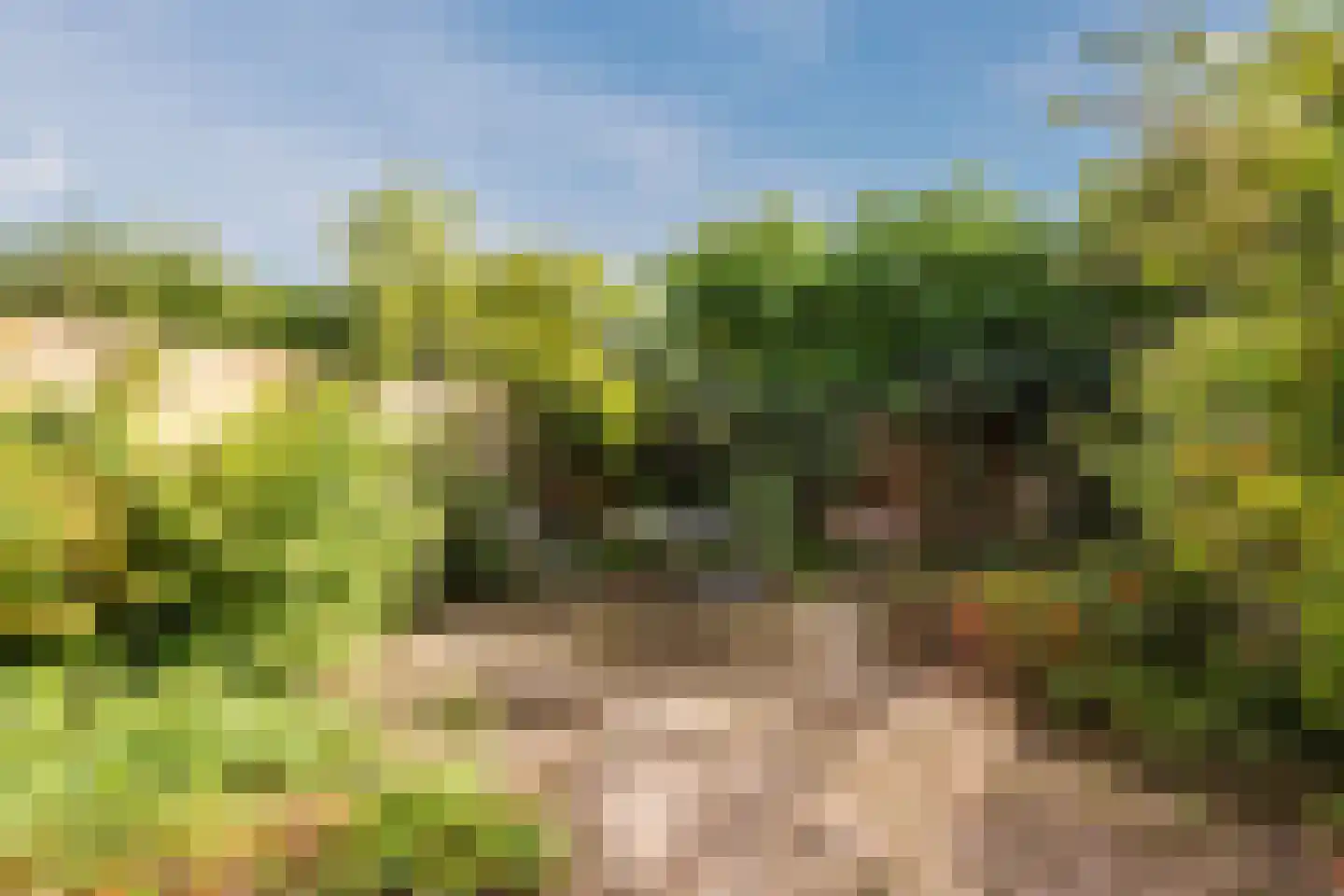 Wilgenlaan 3 Harderwijk thumbnail 55