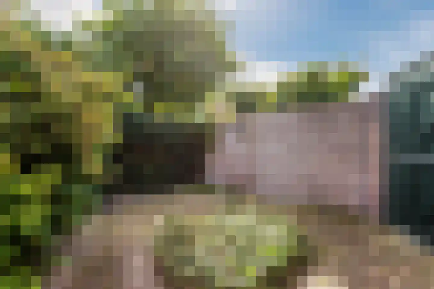 Wilgenlaan 3 Harderwijk thumbnail 56