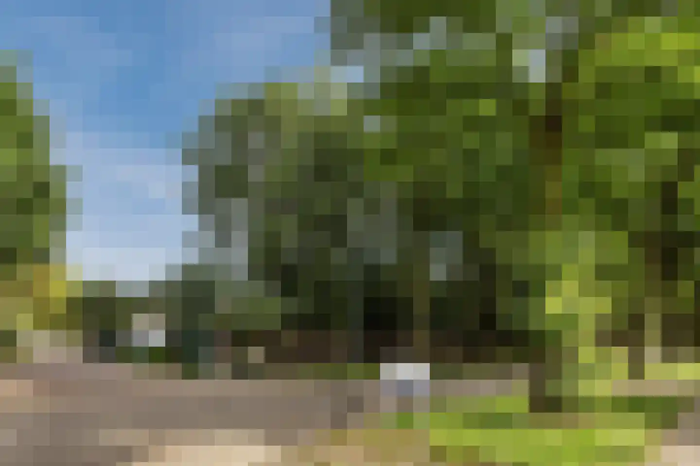 Wilgenlaan 3 Harderwijk thumbnail 65